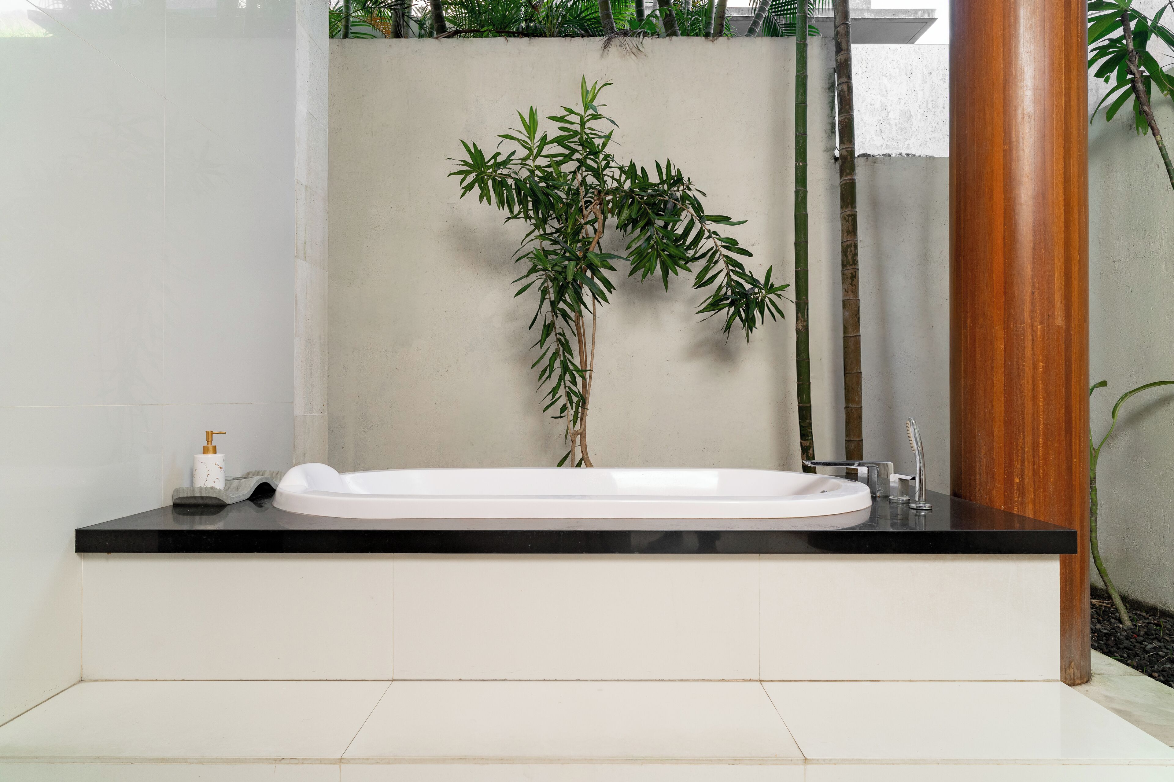 A modern bathroom with a white bathtub, black countertop, and a bamboo plant.