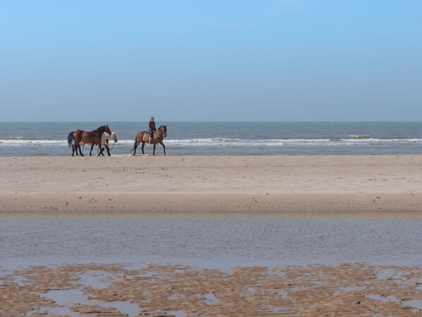 Tæt på stranden
