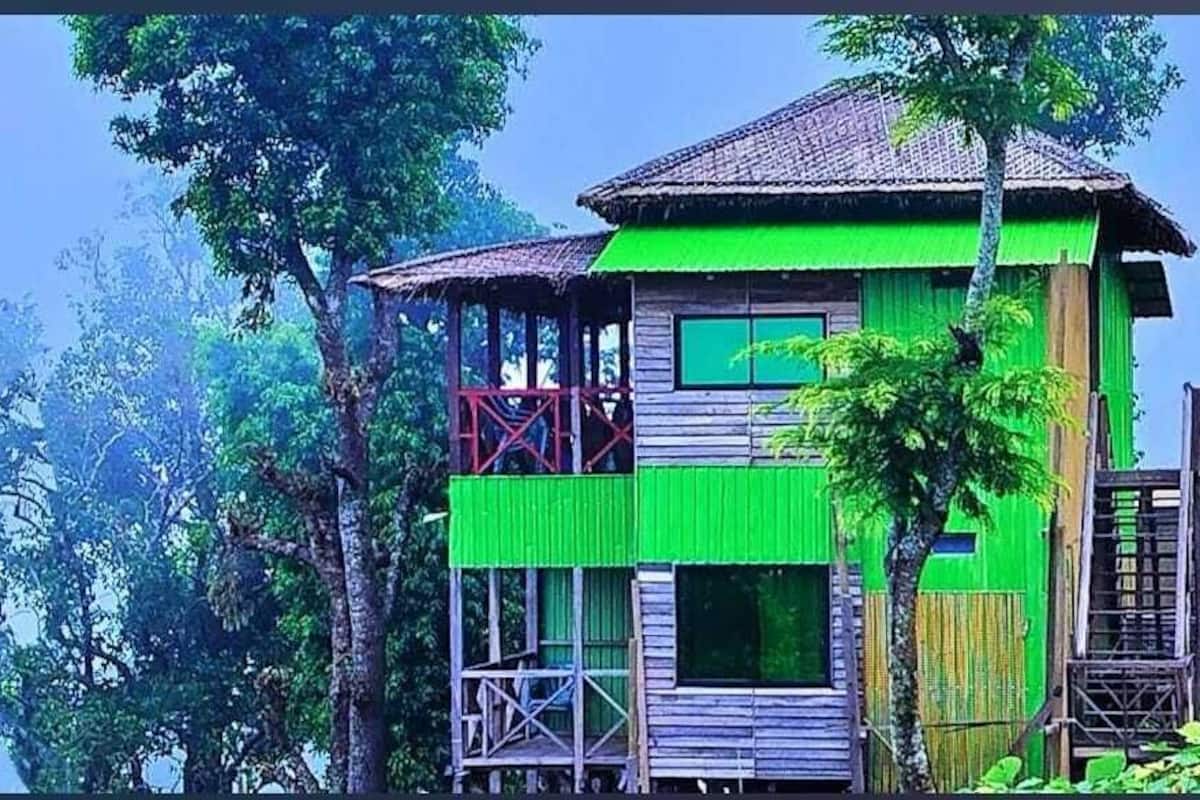 A multi-story wooden building with a green roof, surrounded by lush trees.