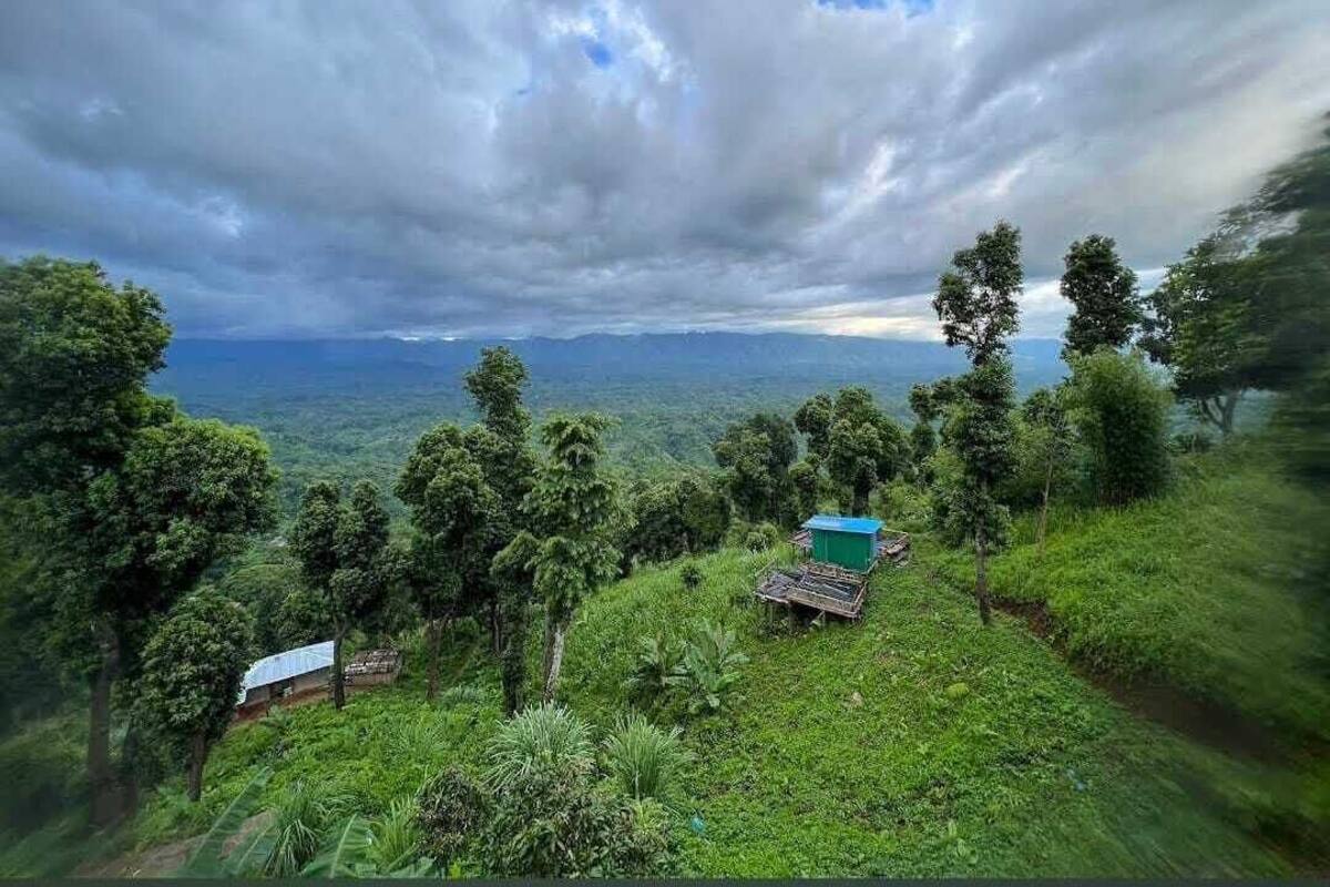 A lush green landscape with a small building and a blue structure on a hill.