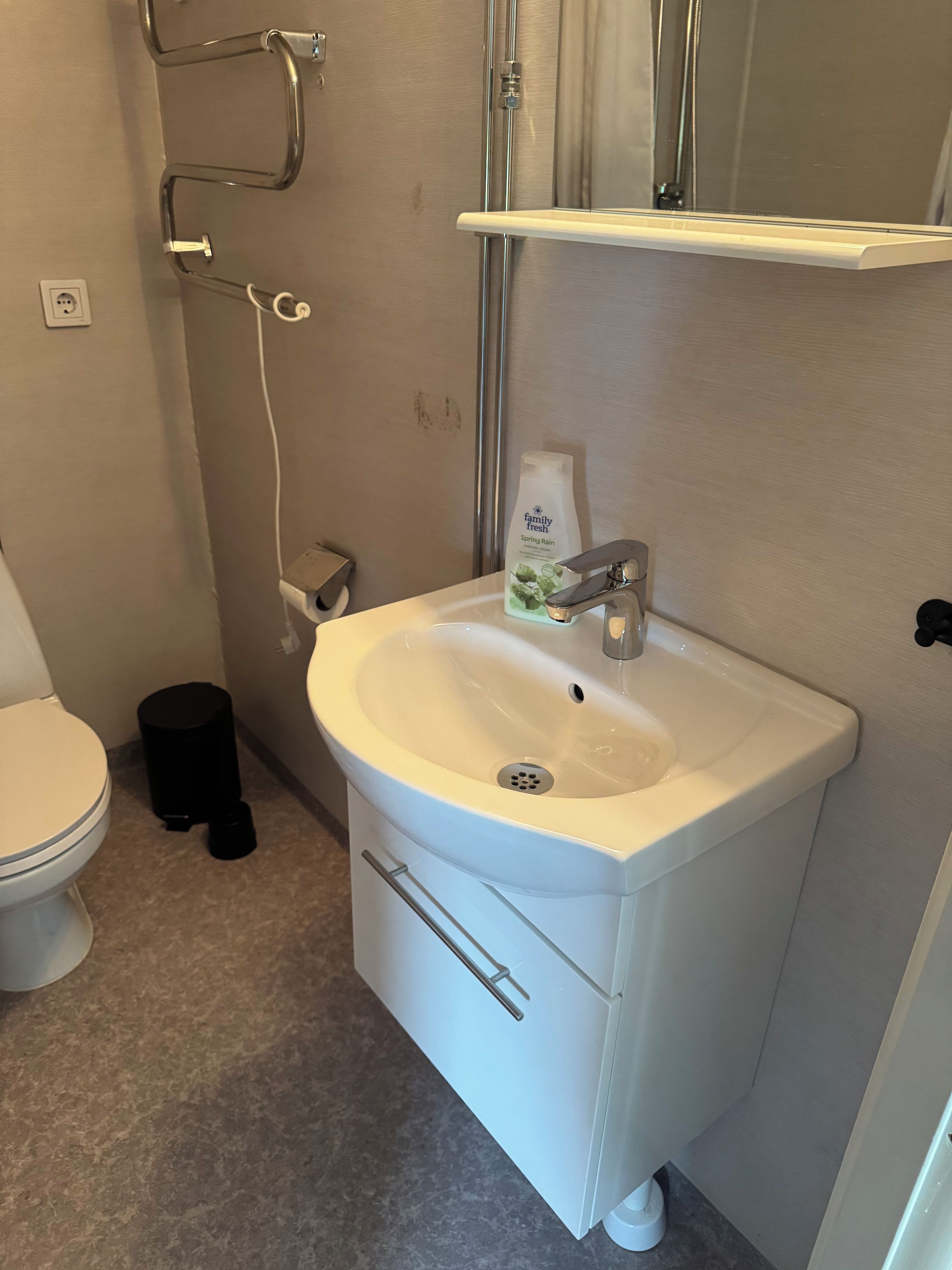 Un bagno con lavandino bianco, un water e zona doccia.