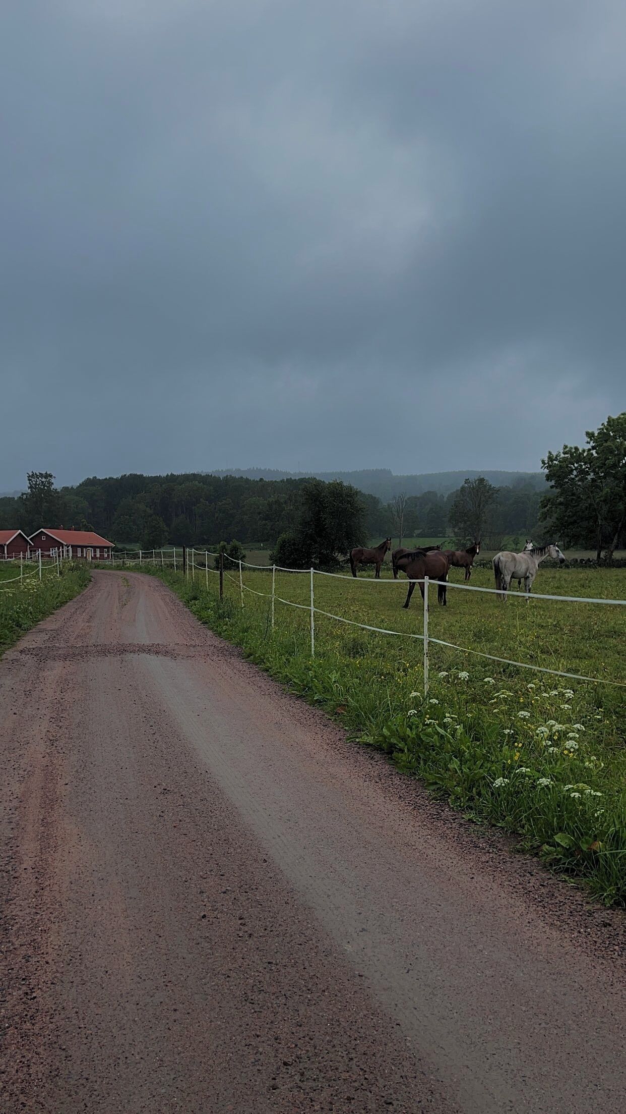 Un camino rural que lleva a una zona vallada con caballos y un edificio rojo.