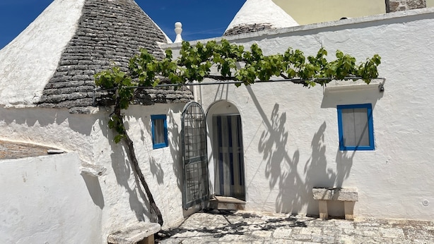 A white building with a stone roof, a vine-covered trellis, and a small bench.
