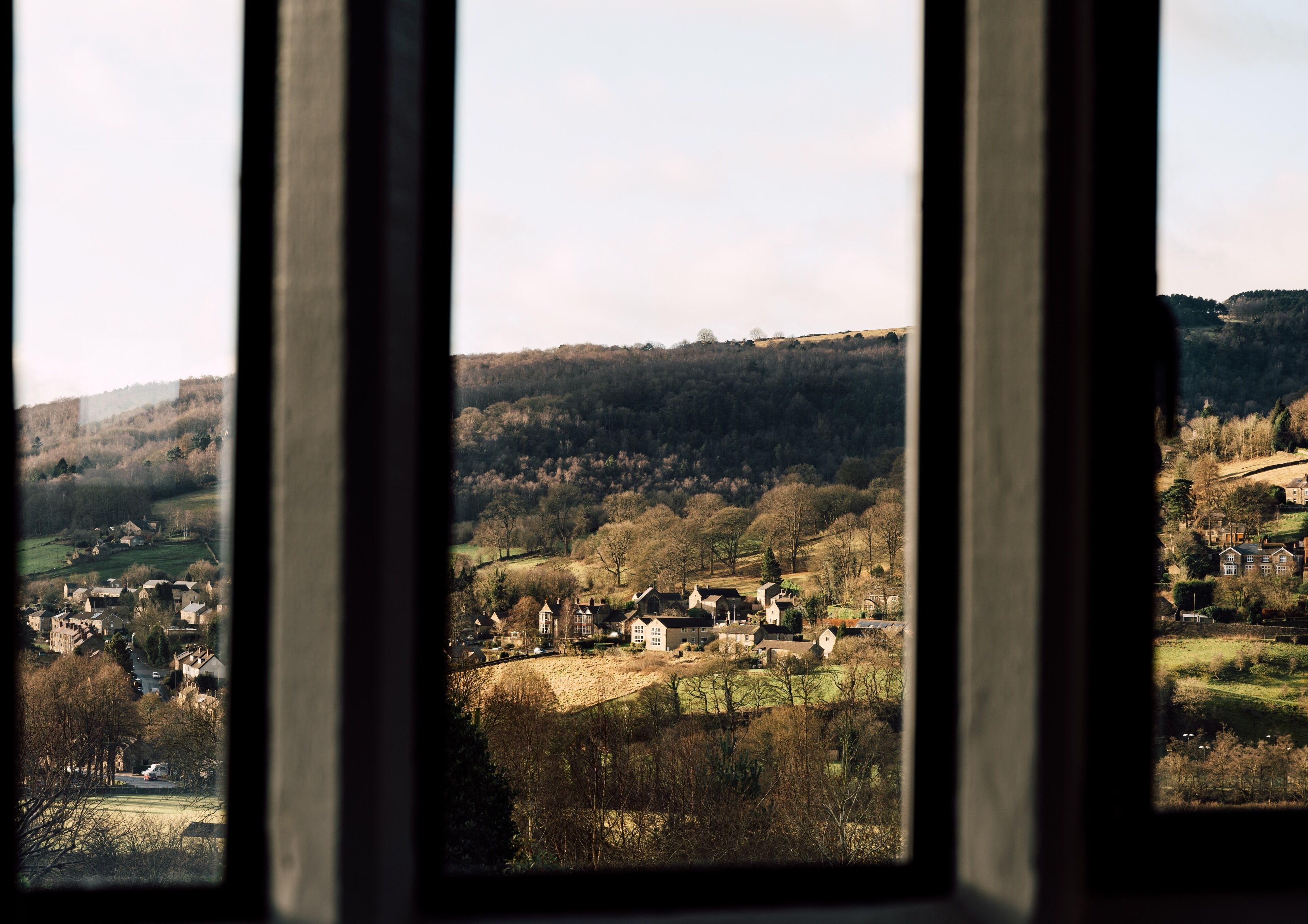 Suite | View from room