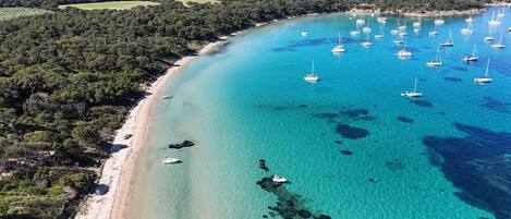 Plage, chaises longues, serviettes de plage
