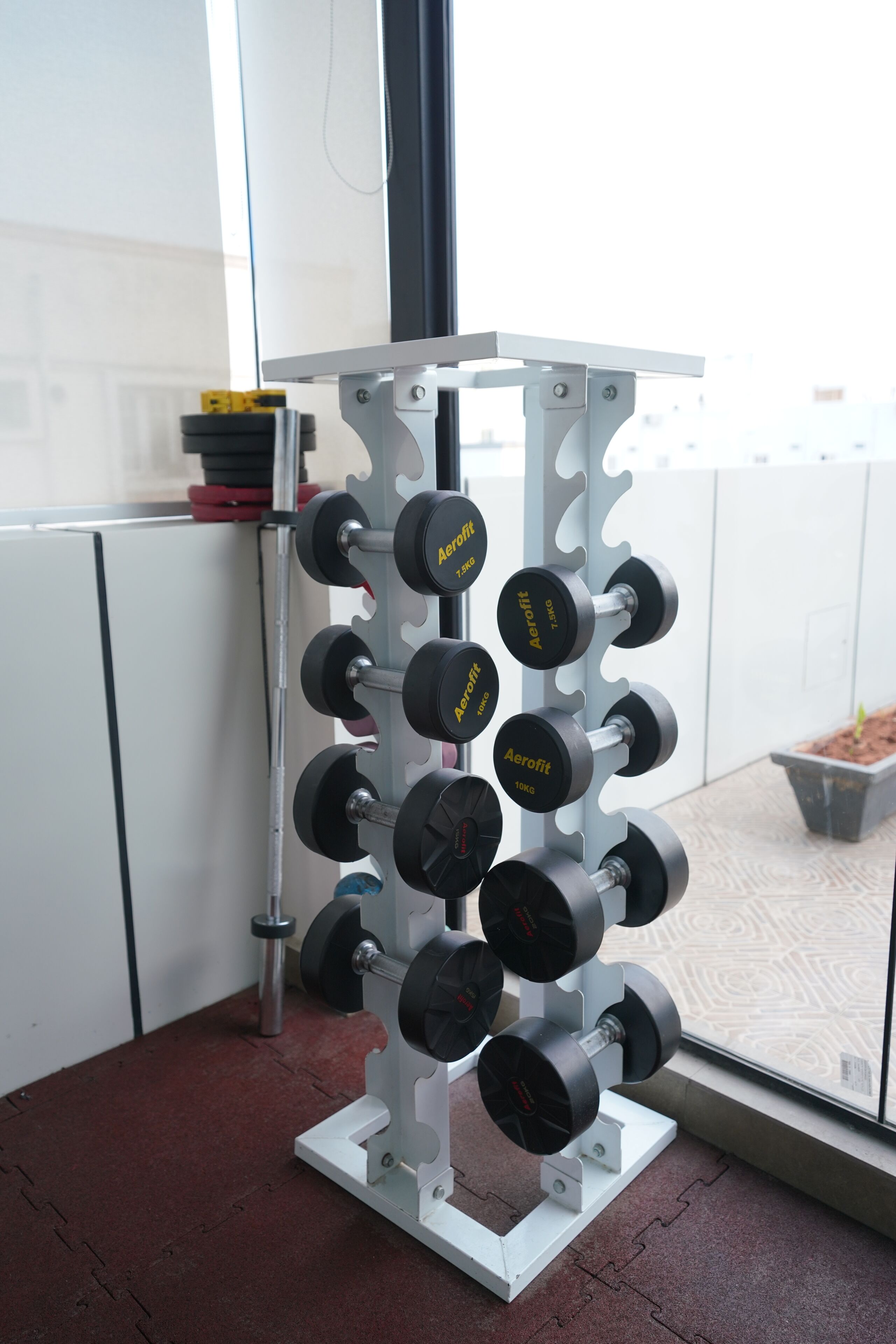 Ein Gewichthebewinkel mit mehreren Kurzhanteln in einem Fitnessstudio.