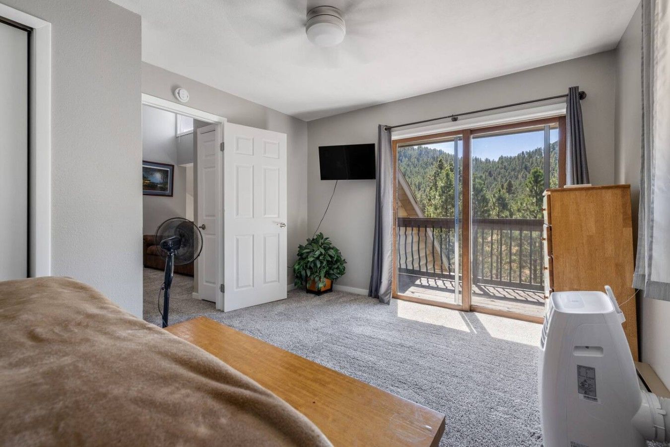 A bedroom with a bed, a desk, a fan, a TV, a sliding glass door to a balcony, and a potted plant.