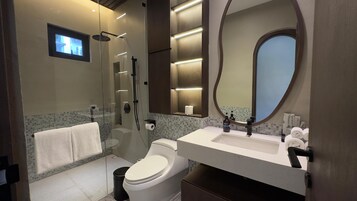 A modern bathroom with a glass-enclosed shower, a toilet, a sink with toiletries, and a large mirror.