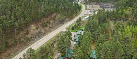A forested area with a road and several buildings with green roofs.
