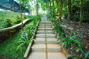 Un escalier en pierre, entouré d’une végétation luxuriante et d’arbres.
