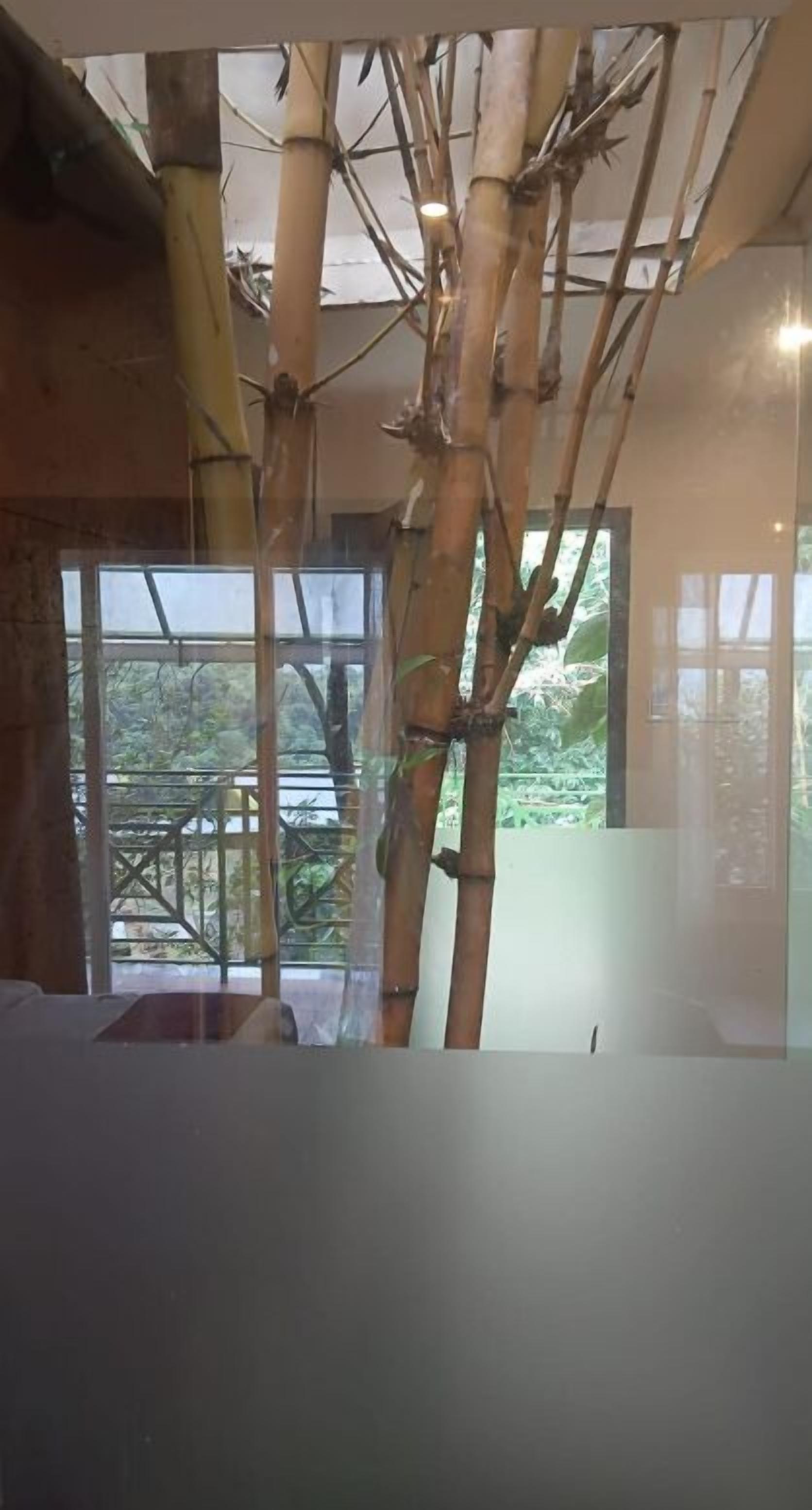 Desk, laptop workspace, free WiFi