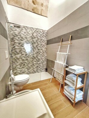 Shower, hair dryer, bidet, towels