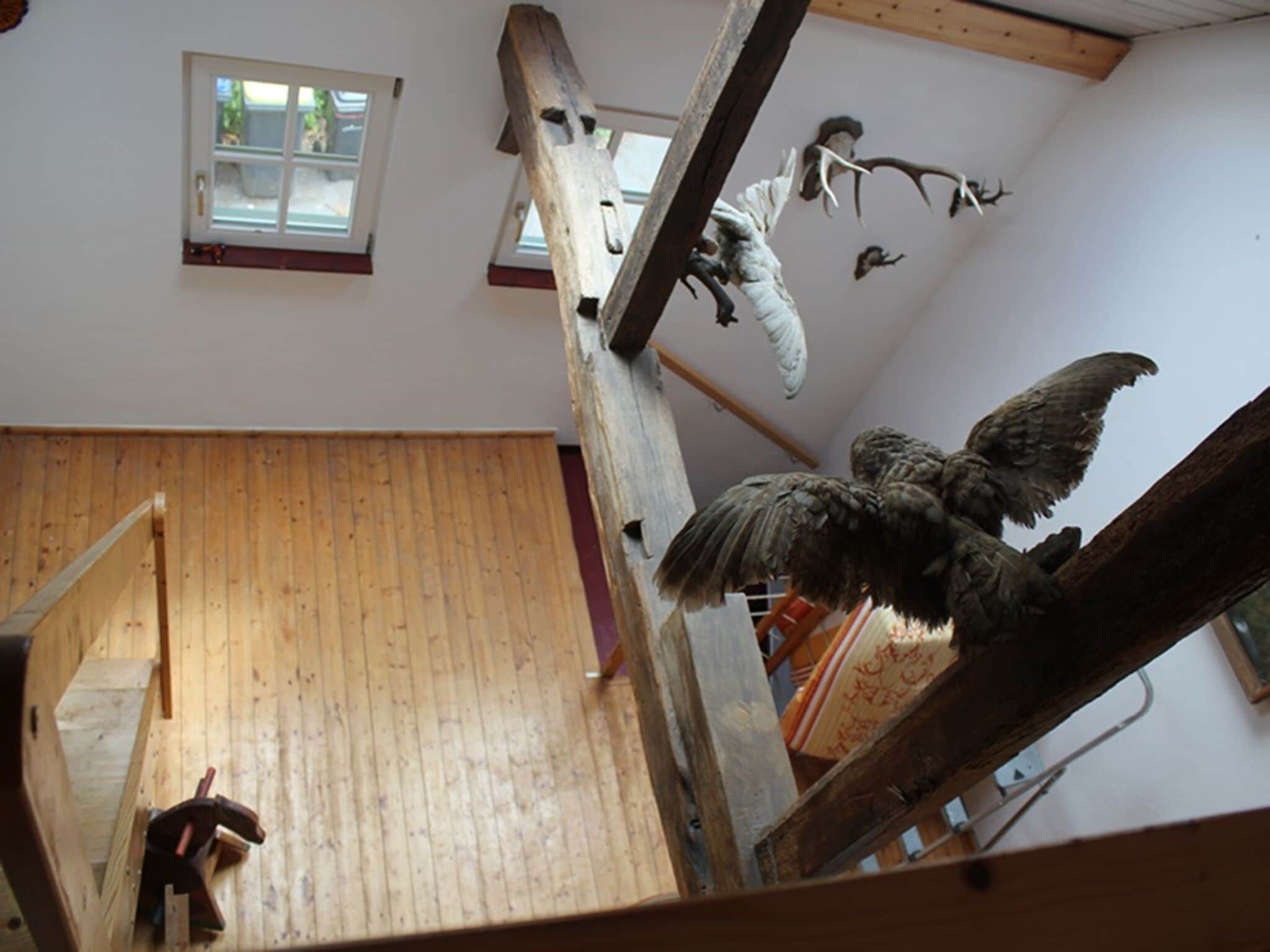 Ein Zimmer mit Holzboden, einer Treppe und aufgehängten Tierköpfen an der Wand.