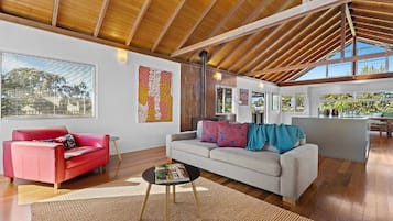 Télévision, cheminée