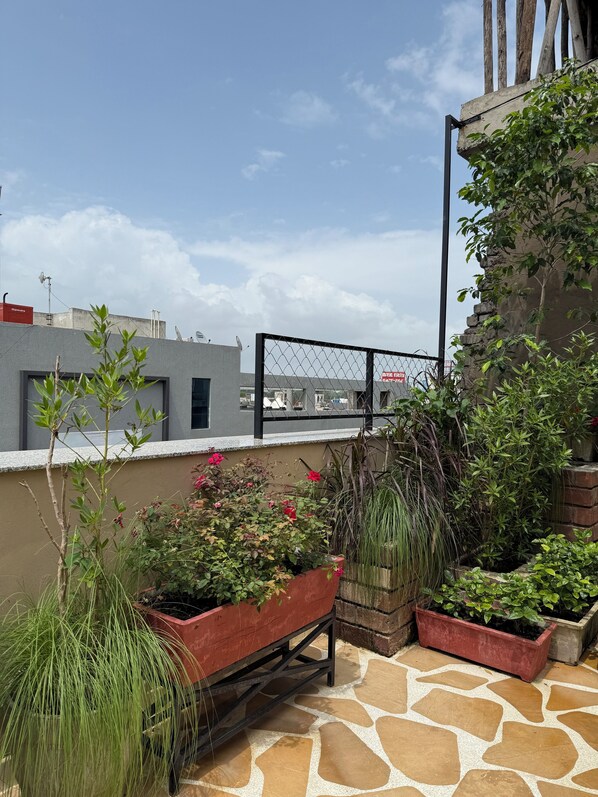 Terraza o patio