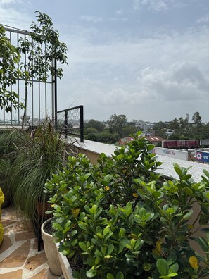 Terrasse/gårdhave