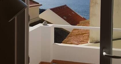 House of the Cat who Wanted to be a Fisherman