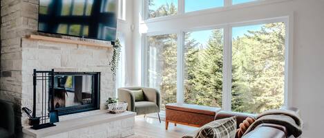 Televisio, takka, työhuone