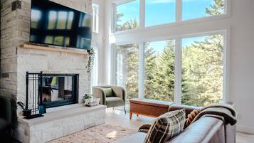 TV, fireplace, foosball, offices