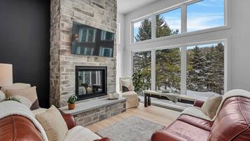 TV, fireplace, offices