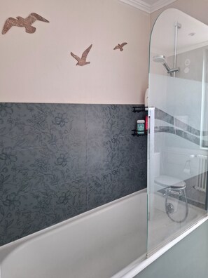 Shower, hair dryer, towels, toilet paper