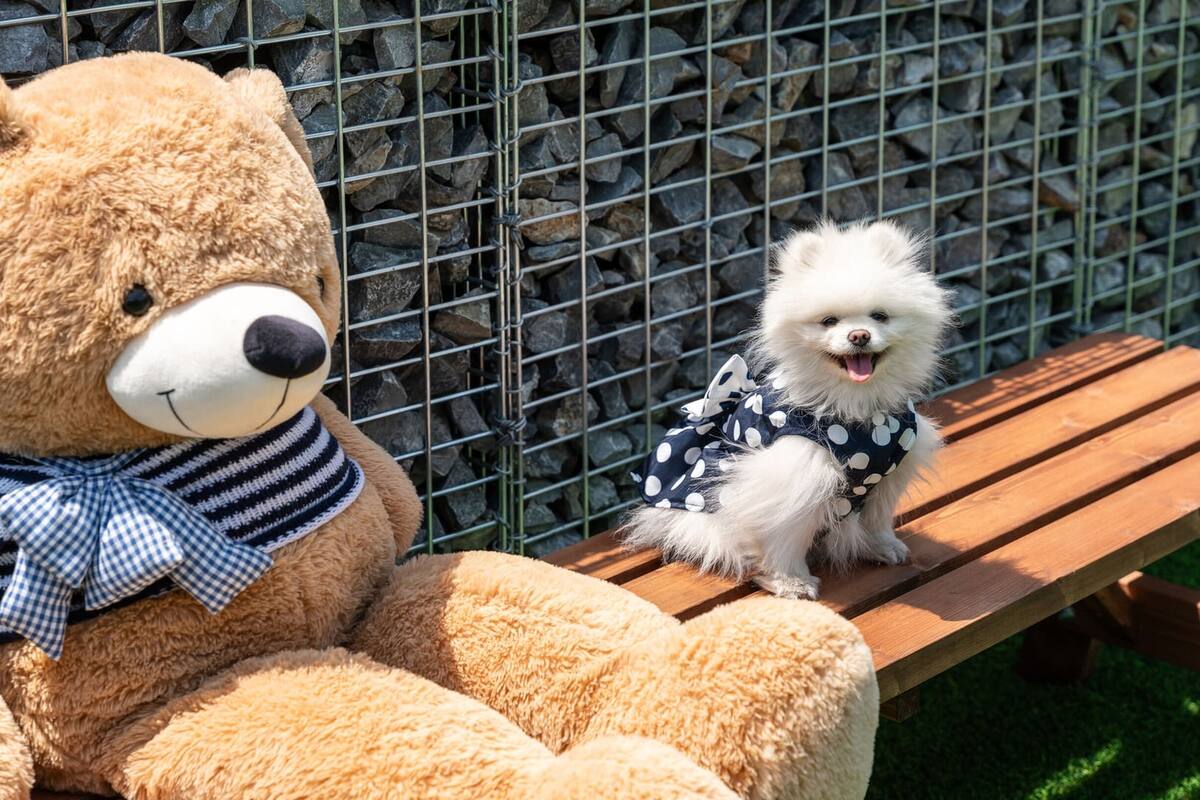 基本客房, 2 間臥室 (ALWAYS STAY Building B (Pet /BBQ)) | 1 間睡房、免費 Wi-Fi