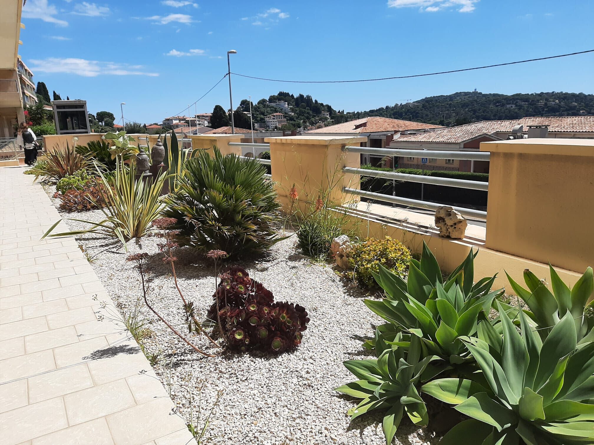 Un jardín en la azotea con diversas plantas y un camino pavimentado.