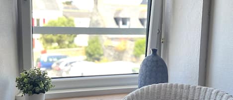 A window with a view of buildings and parked cars, a potted plant, and a wicker chair.