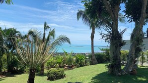 A garden with palm trees, a rock, and a view of the ocean.