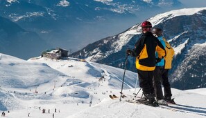 Sneeuw- en skisporten