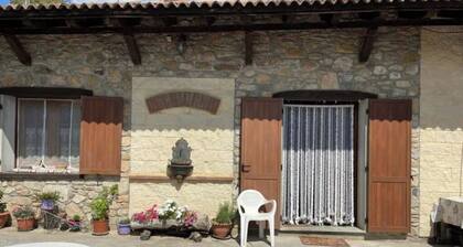 Oddone Brothers Farmhouse: Gentian