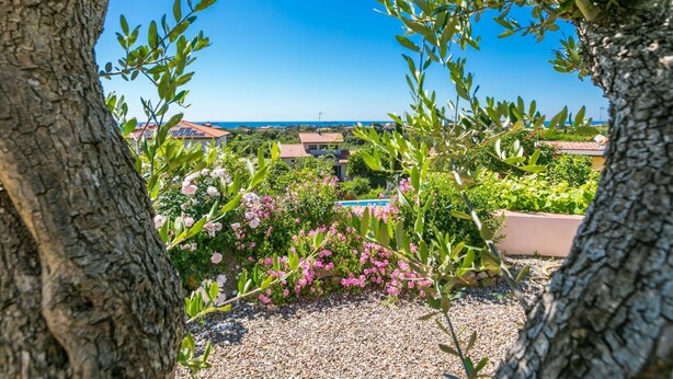 Ein Garten mit Blick auf eine Küstenstadt, mit Häusern und blauem Himmel.