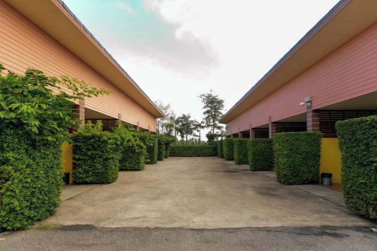 A parking area with a central pathway flanked by neatly trimmed hedges and a building with a flat roof.