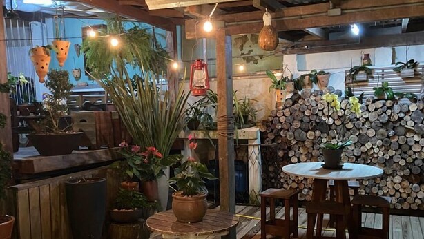 Un patio al aire libre con piso de madera, una mesa redonda con sillas, plantas en macetas, bombillas colgantes y una pila de leña.