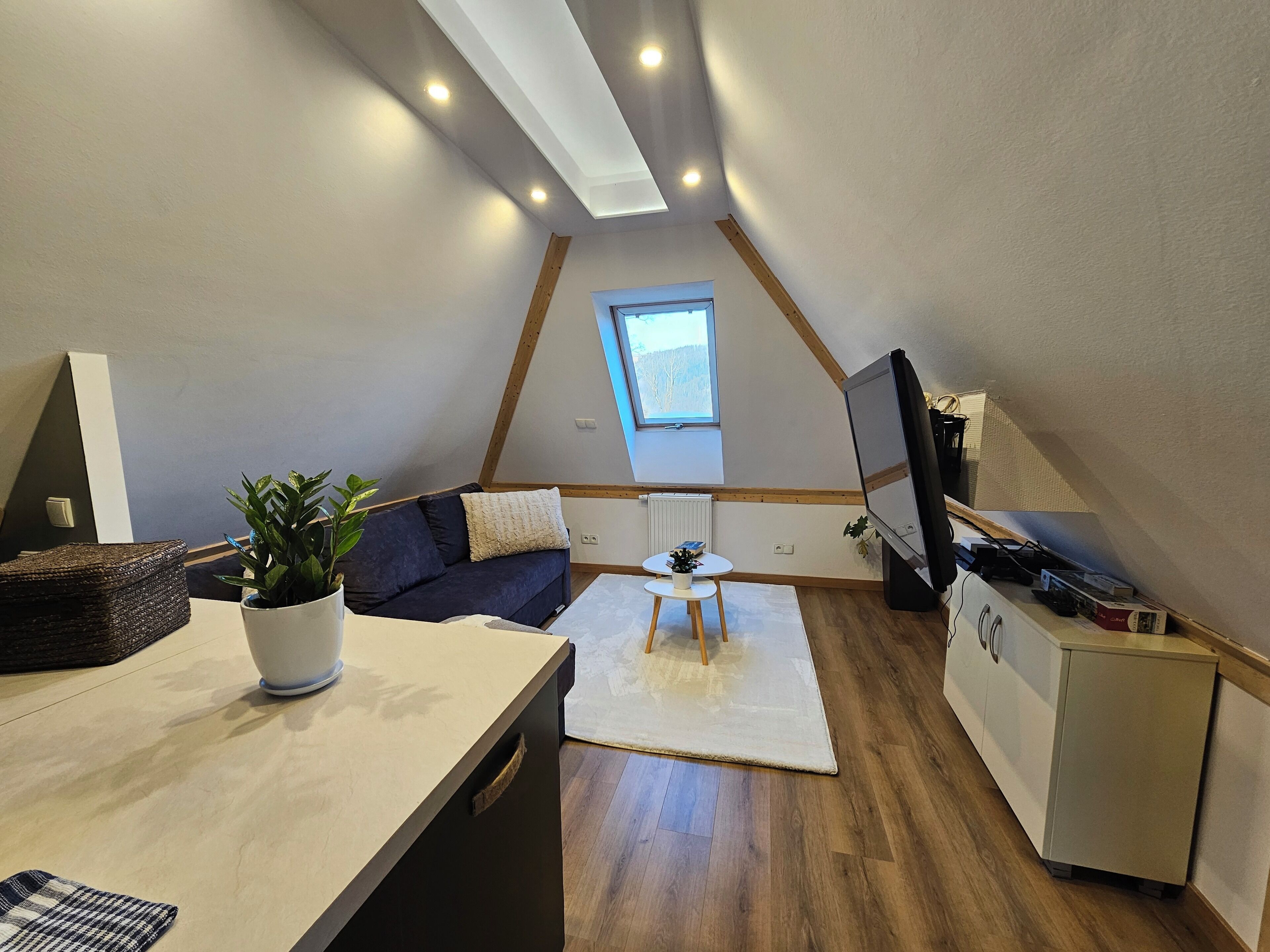 Un acogedor espacio tipo loft con un sofá azul oscuro, una mesita blanca, una planta en maceta y un televisor sobre un mueble.
