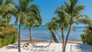 A beach with palm trees, a pier, and beach chairs. - Turtle Crawl on Long Key Oceanfront Beachfront with dock and pool (Long Key)