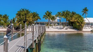 Unclassified image, 4 of 49, button