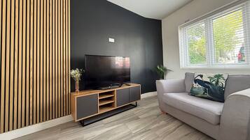 Flat-screen TV