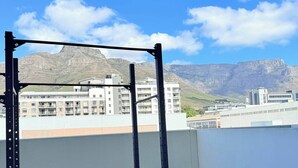 A rooftop gym with a pull-up bar, a weight plate, and a potted plant. - Chick and Luxurious Studio (Cape Town)