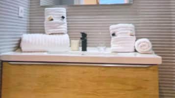 Haartrockner, Handtücher, Seife, Toilettenpapier