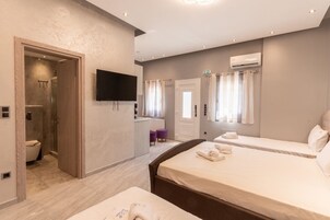 Economy Δωμάτιο, Θέα στον Κήπο | Χρηματοκιβώτιο στο δωμάτιο, χώρος εργασίας για λάπτοπ 