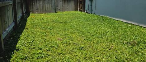 A fenced backyard with a well-maintained lawn and a utility box near a building.