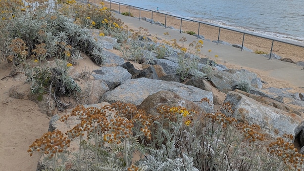 A coastal landscape with a rocky beach, a wooden structure, and a metal railing along the shore.