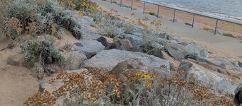 20min from the beach, next to the forest, 3-bedroom bungalow, residence with swimming pools