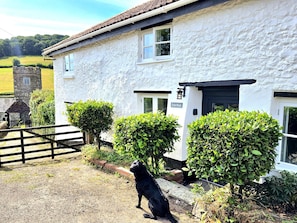 Exterior - Picket Mead (Colyton)