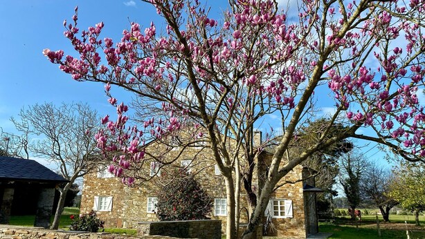 Un bâtiment en pierre, avec un mur de pierre à l’avant, entouré d’arbres aux fleurs roses.