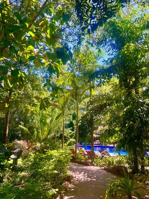 Outdoor pool - Sundaras Family Suites (Dambulla)