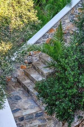 Exterior detail - Cosy villa with a wonderful view of Skiathos town (Skiathos)