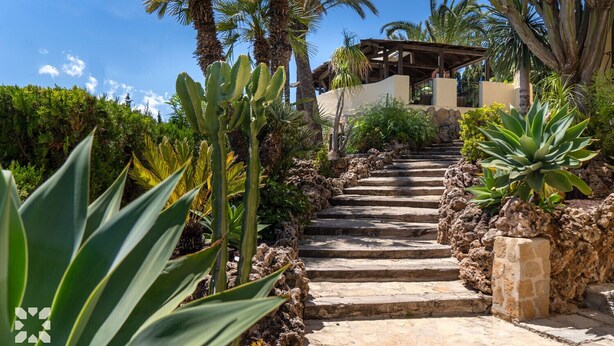 A stone staircase leading to a building with a covered porch, surrounded by cacti and palm trees.