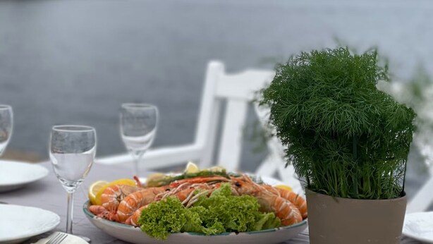 Ein Tisch ist gedeckt mit Fischplatten, einer Topfpflanze und Weingläsern.